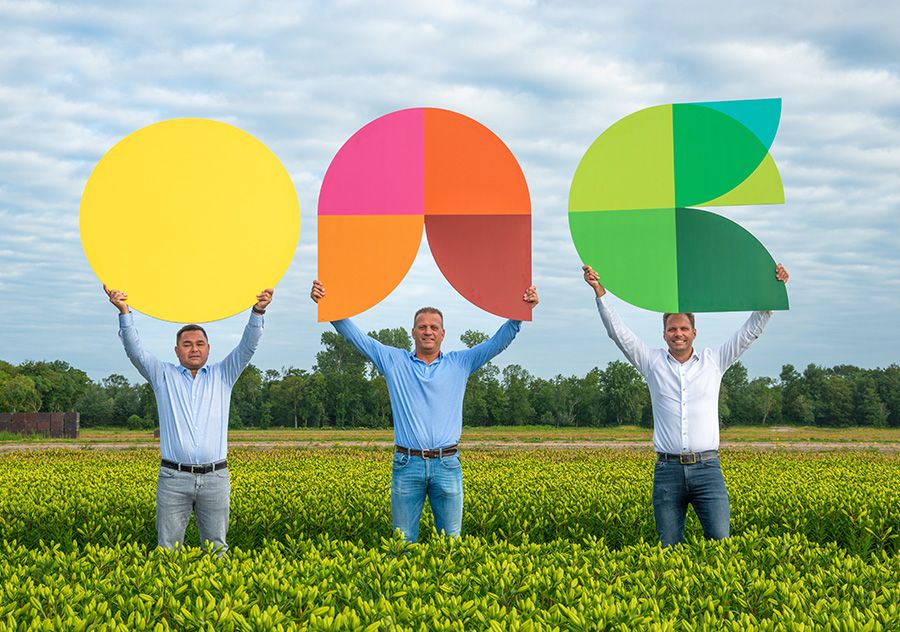 Connecting Lilies sluit aan bij One Flora Group